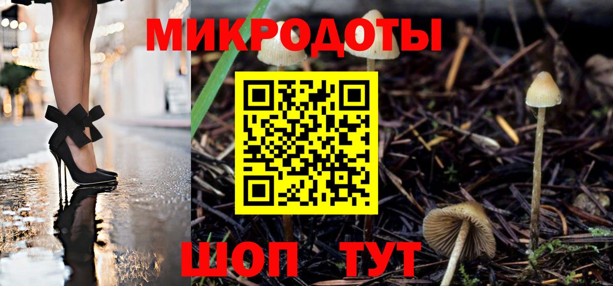Приморско-Ахтарск  Псилоцибиновые грибы ЛСД  Псилоцибиновые грибы Psilocybine cubensis  Вход с VPN 